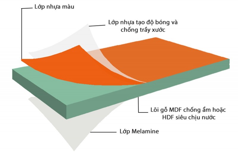 cấu tạo gỗ arlytic.jpg