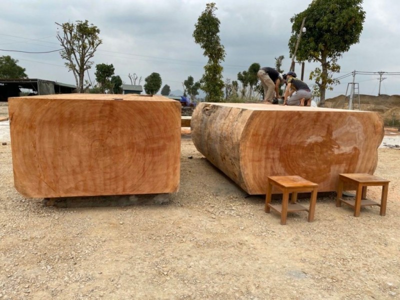 gỗ lát nguyên khối.jpg