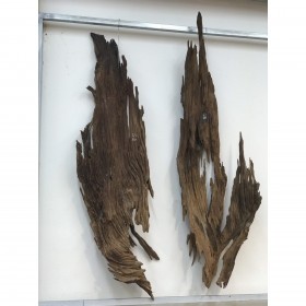 Gỗ lũa là gì? Những điều bạn cần biết về gỗ lũa