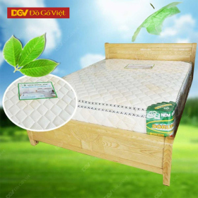 Nệm Lò Xo Mặt Cao Su Đồng Phú Đẹp Bền Giá Rẻ