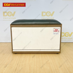 Tủ Giày MDF Thanh Lý DGV-TL41